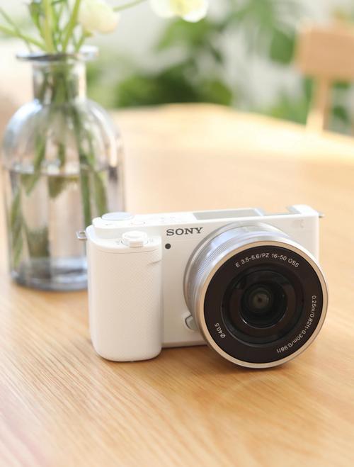 微单|10款适合初学者的摄影入门相机