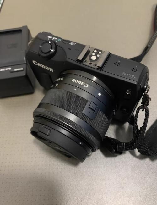 专业佳能相机推荐哪款比较好呢?新手的话适合什么型号的相机?