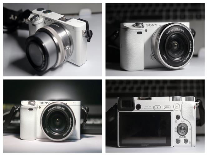 2024入门级单反相机哪款值得买,哪个牌子相机好用?