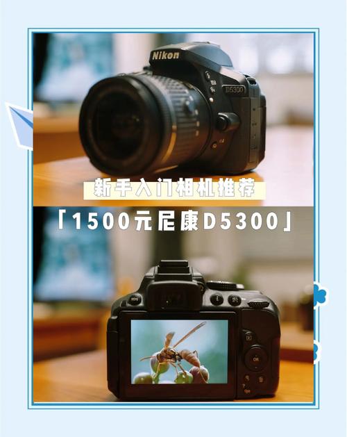 千元以下数码相机选取