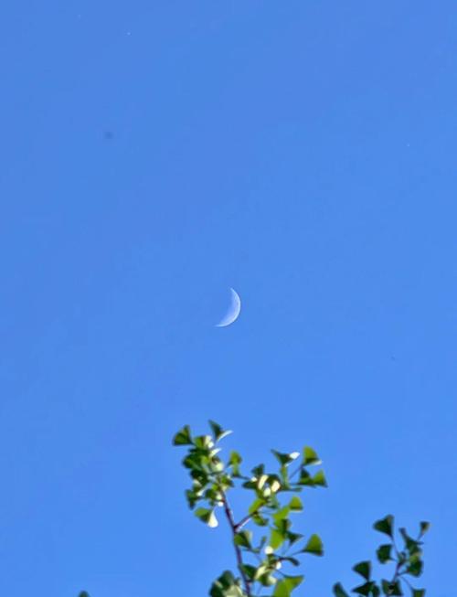 华为mate手机拍月亮怎么设置参数