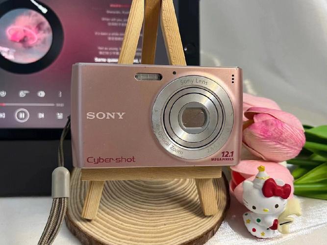 索尼w510最大支持多少g内存