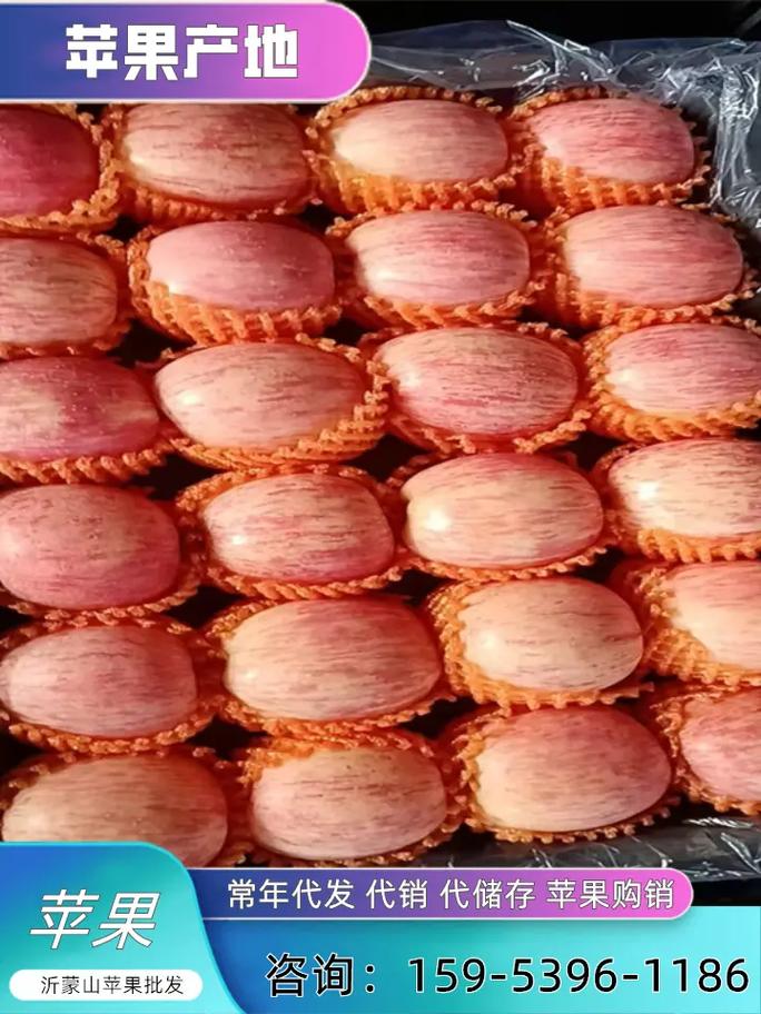 75和80规格的苹果(红富士)冷风出库多钱一斤?