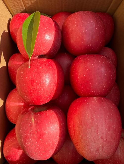上海超市红富士苹果多钱一斤