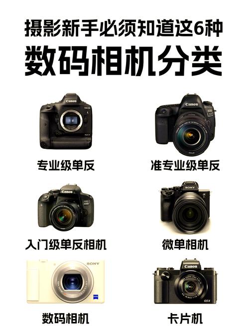 数码相机分为哪几类