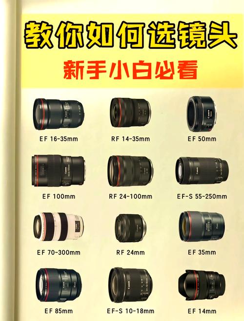 单反不含镜头可以拍照吗