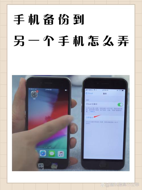 如何在电脑上使用iTunes备份iPhone数据?