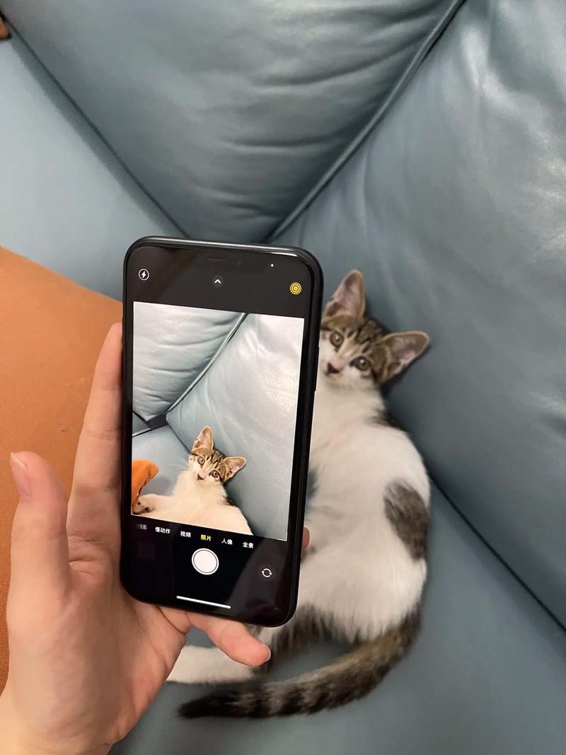 苹果xr清晰度怎么调