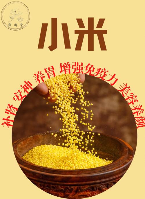 小米的功效与作用及食用方法