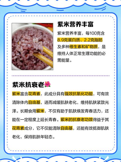 小米生态链的紫米品牌怎么样?