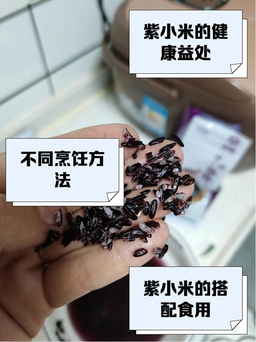 紫米排名top品牌