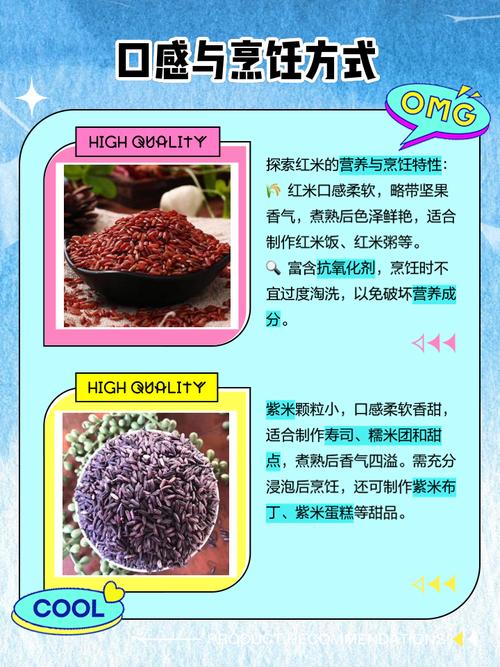 小米紫米怎么样