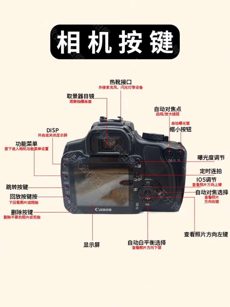 佳能400D对于初学者来说的值得买吗?哪位说一下?