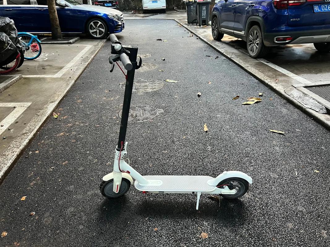 小米m365电动滑板车充不进电