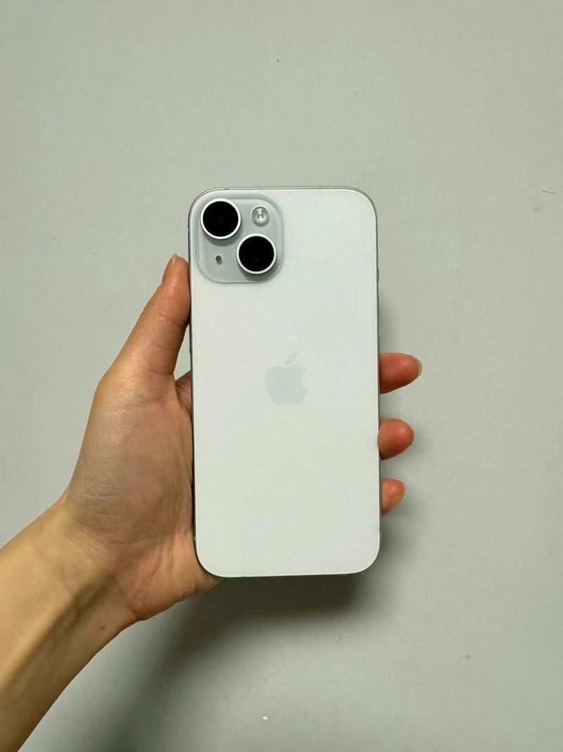 苹果6sa1699是什么版本的?