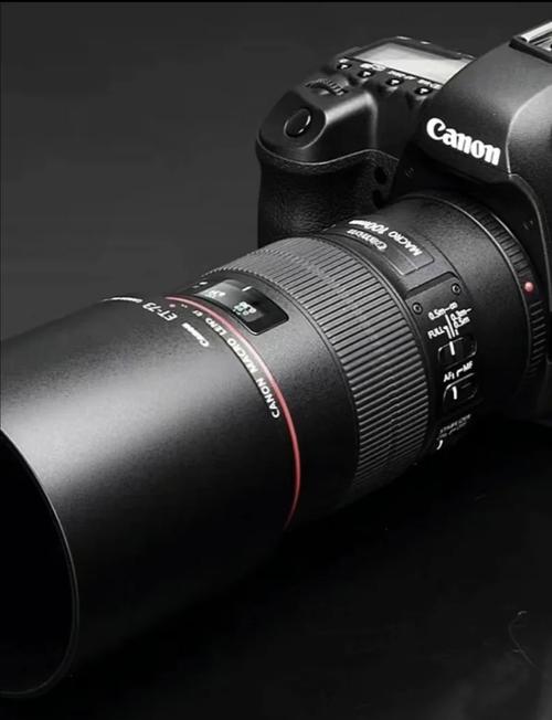 怎样使用佳能100微距镜头?