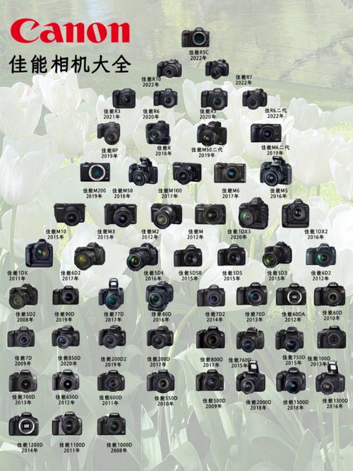 佳能单反发布时间有哪些顺序呢