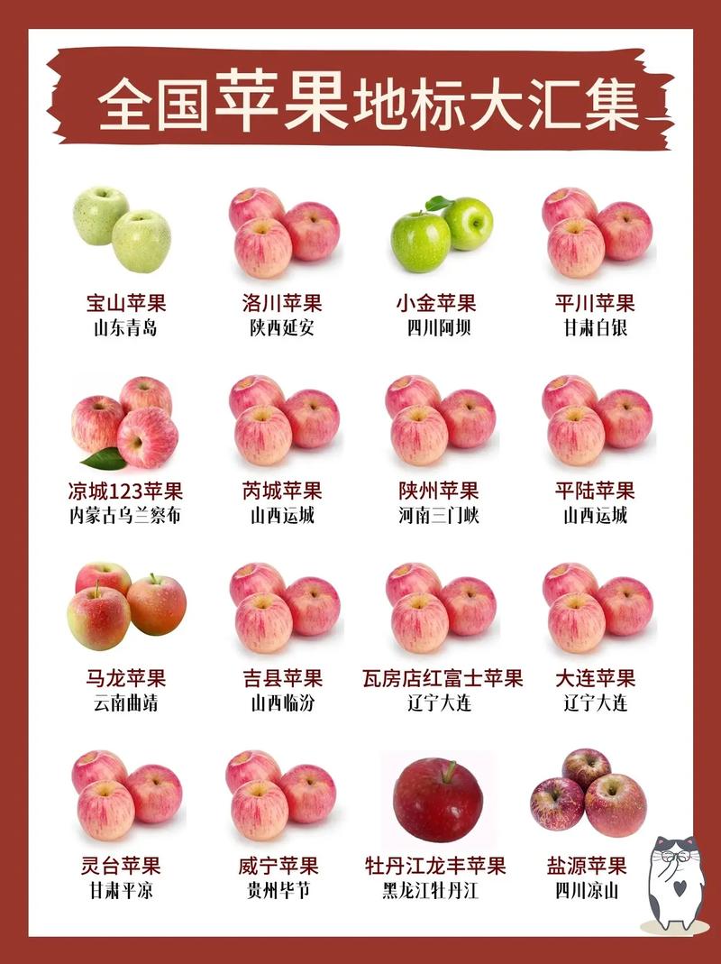 这5个地方被评为全国比较受欢迎的苹果产地,你家乡上榜了吗?