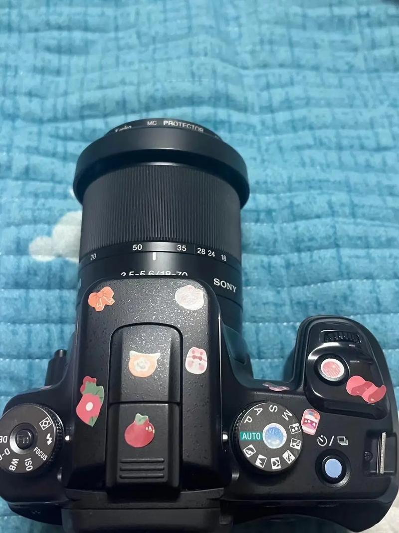 我想买个数码相机,1000块钱以内的,哪个牌子好?