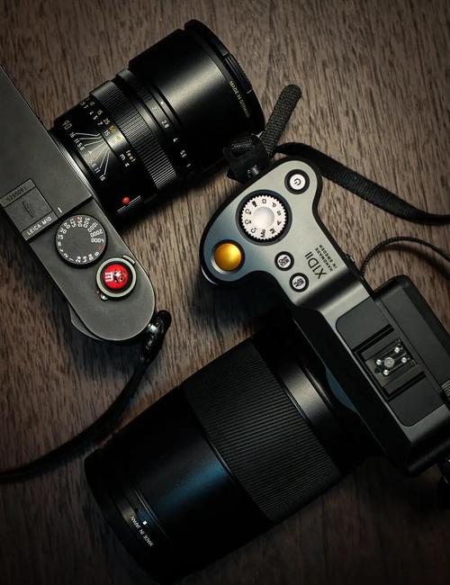 莱卡相机中哪些是胶片机