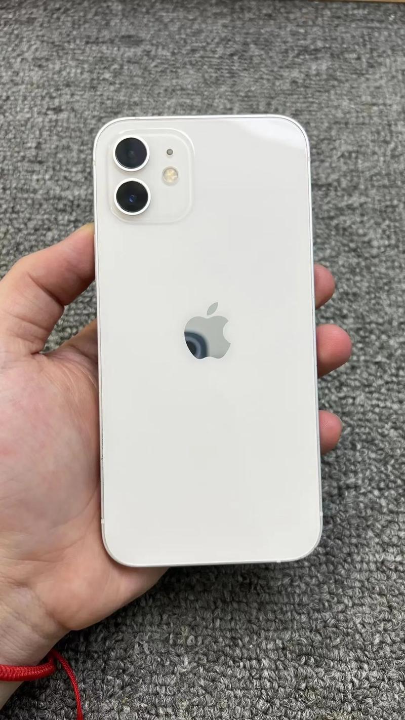 苹果12有几个型号