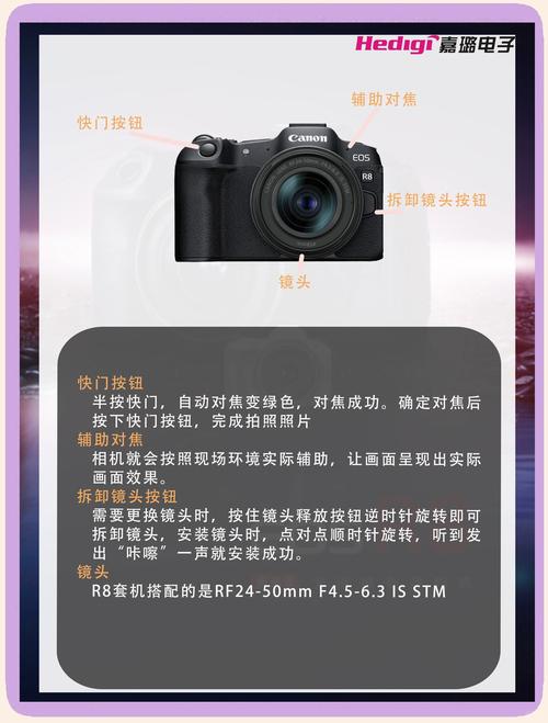 佳能eosr和r8怎么选