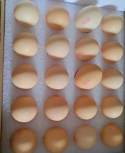 壹号本安装win7系统