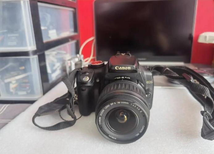 佳能350d给bjd娃娃拍照能够hold住吗