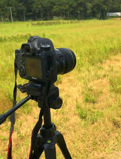 佳能6d参数对比