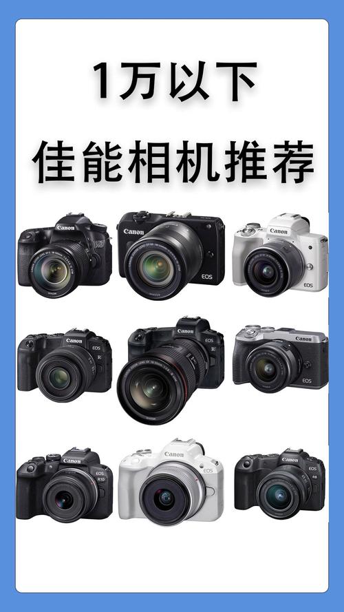 索尼a7r3和尼康z62哪个值得购买知乎