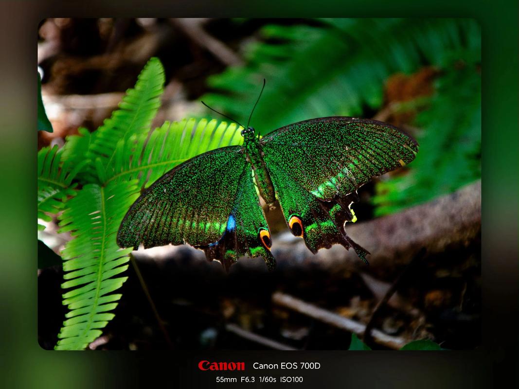 有了腾龙28200还要哪个镜头