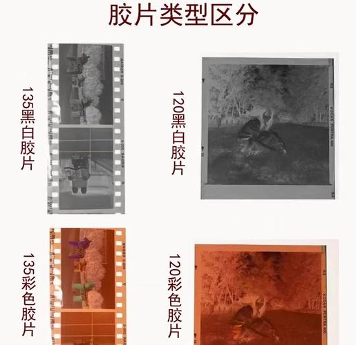 使用过的胶卷没去洗,比较多能放多久就不能用了~