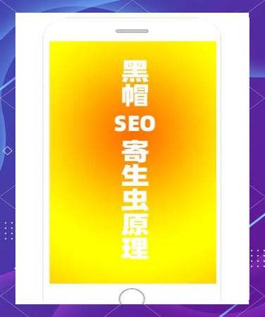 〖One〗、SEO寄生虫程序的定义