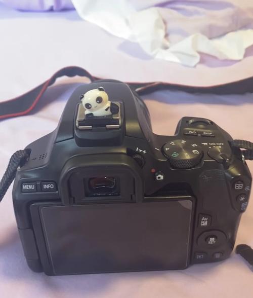 (200分)买数码相机大家帮我建议一下!